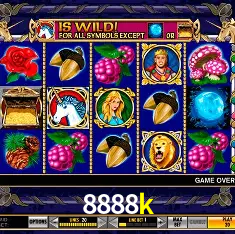 8888k Rio de Janeiro - Professional Dealers
